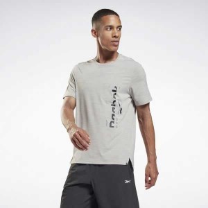 Reebok Activchill Graphic Move T-Shirt Grau | 6582910-CP