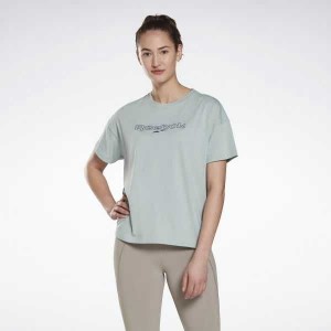 Reebok Brand T-Shirt Grau | 1327458-BQ