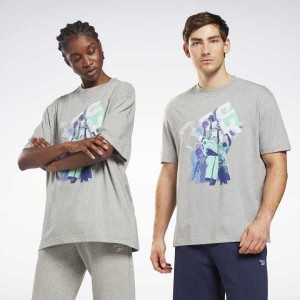 Reebok Graphic Series T-Shirt Grau | 9137645-LT