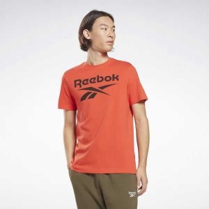 Reebok Identity Big Logo T-Shirt Rot | 7812536-QO
