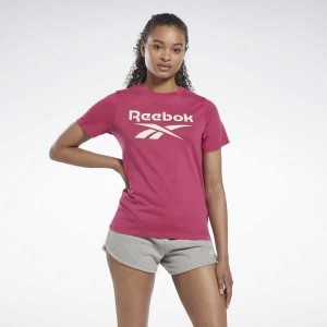Reebok Identity T-Shirt Rosa | 4103589-OD