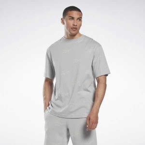 Reebok Identity Vector T-Shirt Grau | 3504291-OT
