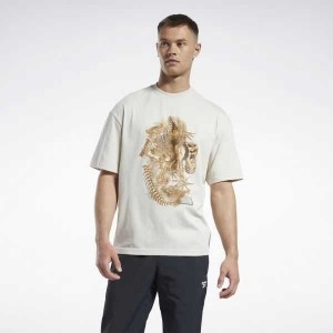 Reebok Jurassic World Fossil T-Shirt Mehrfarbig | 9517063-WV