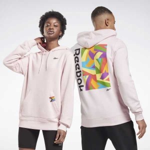 Reebok Tech Stylen Pride Graphic Sweatshirt Mehrfarbig | 8217956-FV