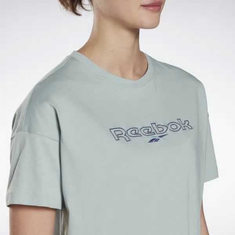 Reebok Brand T-Shirt Grau | 1327458-BQ