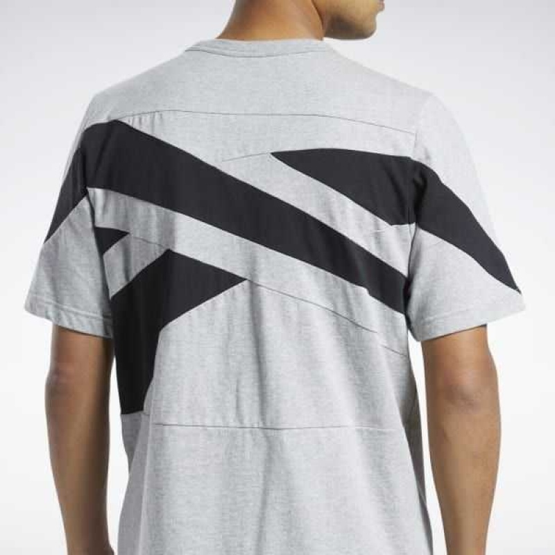 Reebok Classics Brand Proud T-Shirt Grau | 8094671-OL