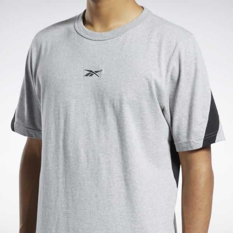 Reebok Classics Brand Proud T-Shirt Grau | 2875316-GT