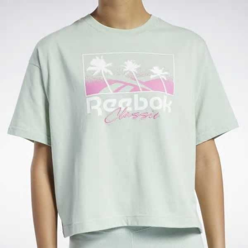 Reebok Classics Summer Graphic T-Shirt Hellolivgrün | 1046532-RF
