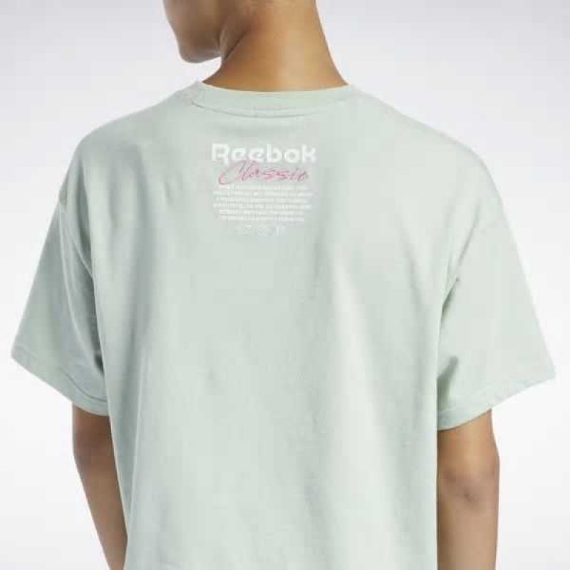 Reebok Classics Summer Graphic T-Shirt Hellolivgrün | 1046532-RF