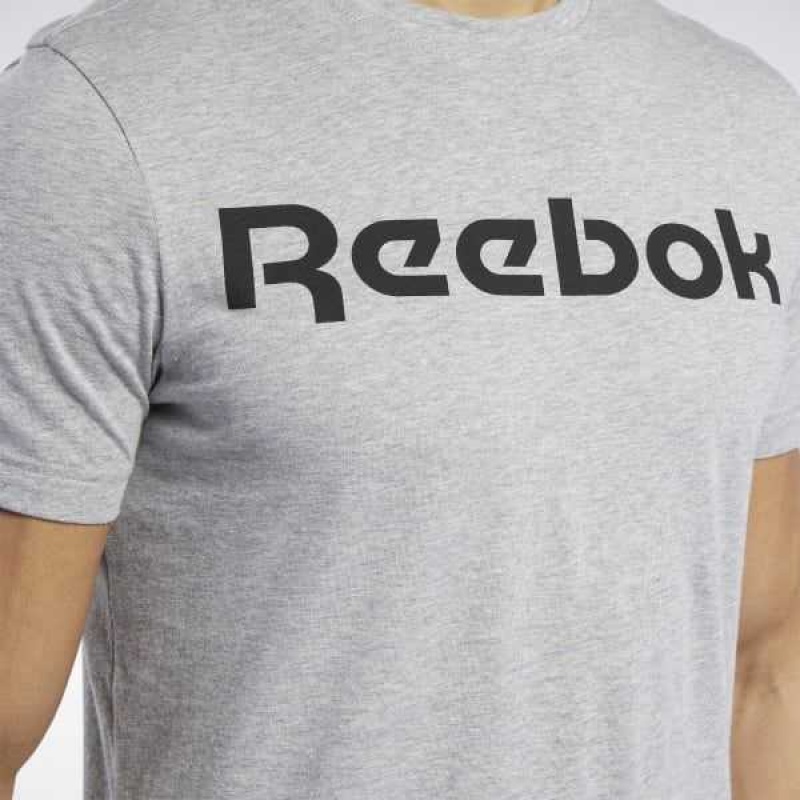 Reebok Graphic Series Linear Logo Tee Grau | 8546237-AF