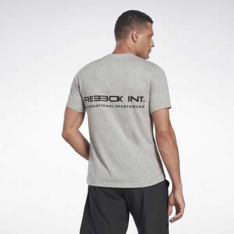 Reebok Graphic Speedwick Move T-Shirt Grau | 5790823-RU