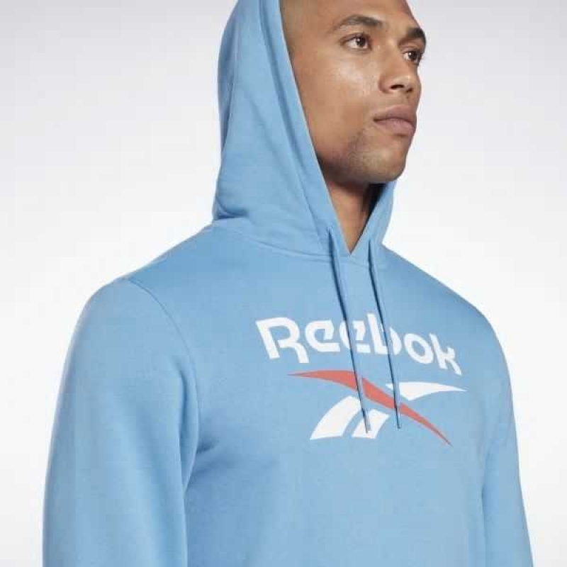 Reebok Identity Big Logo Hoodie Blau | 6493018-EI