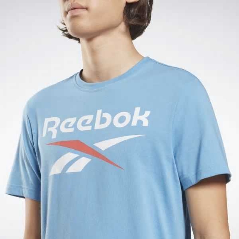 Reebok Identity Big Logo T-Shirt Blau | 3472965-FN