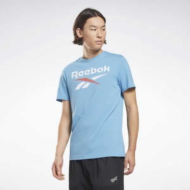 Reebok Identity Big Logo T-Shirt Blau | 3472965-FN