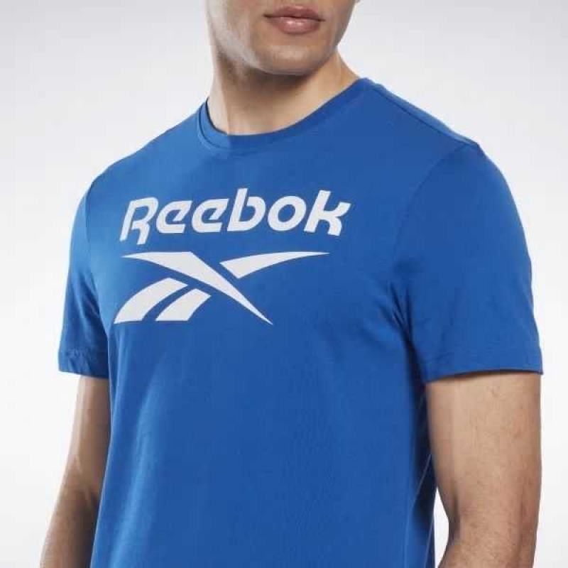 Reebok Identity Big Logo T-Shirt Blau | 5071438-ZT