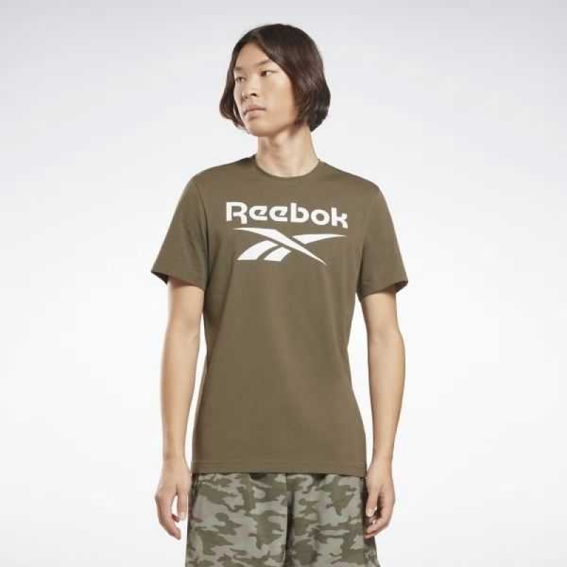 Reebok Identity Big Logo T-Shirt Grün | 4182095-GA