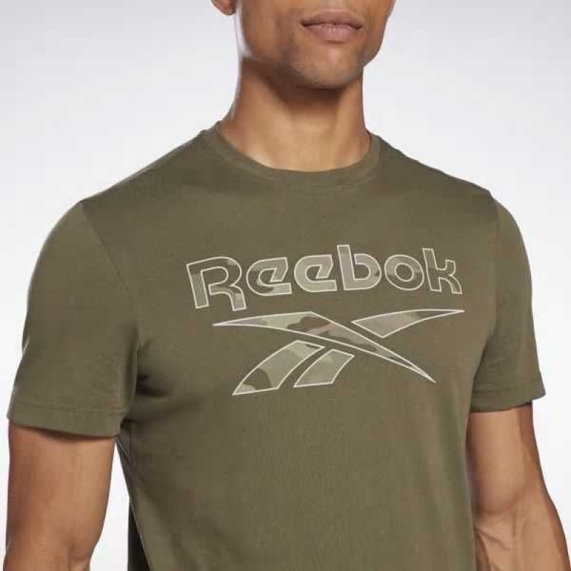 Reebok Identity Big Logo T-Shirt Grün | 6487051-XT