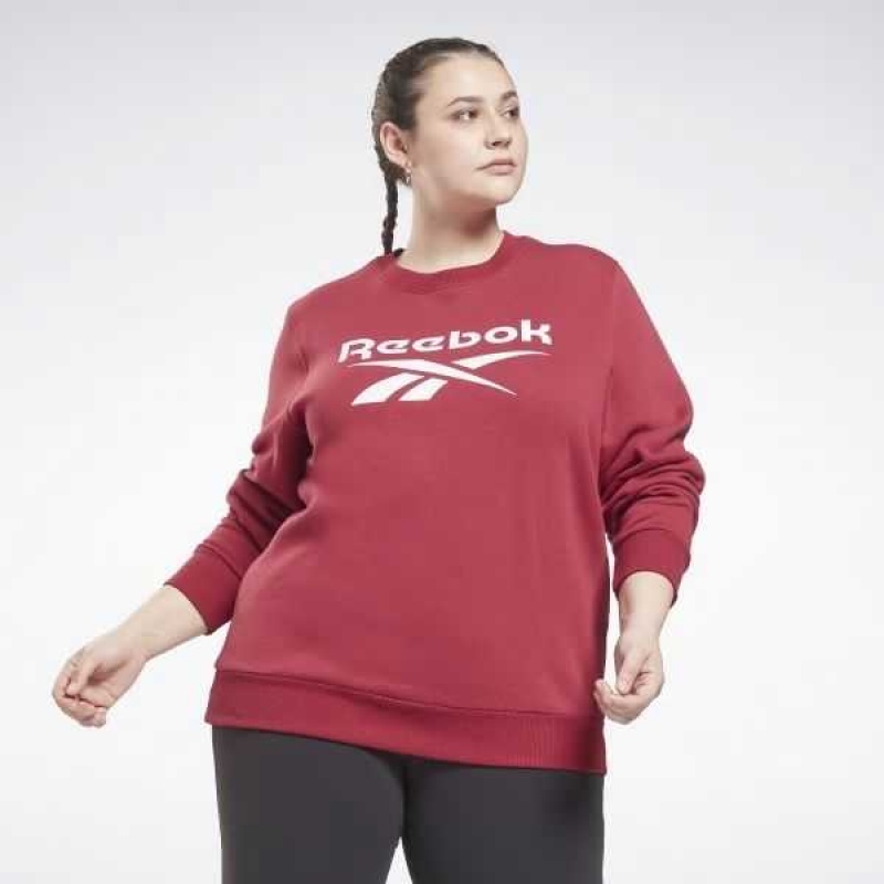 Reebok Identity Logo Fleece Crew Sweatshirt Mehrfarbig | 7409516-YE