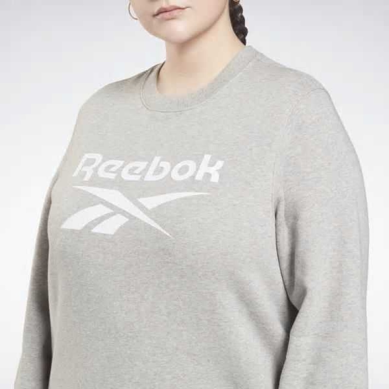 Reebok Identity Logo Fleece Crew Sweatshirt Grau | 3761408-TU