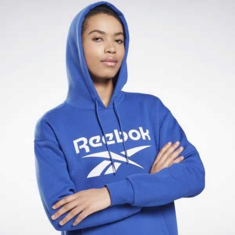 Reebok Identity Logo Fleece Pullover Hoodie Tiefesblau | 6137895-QS