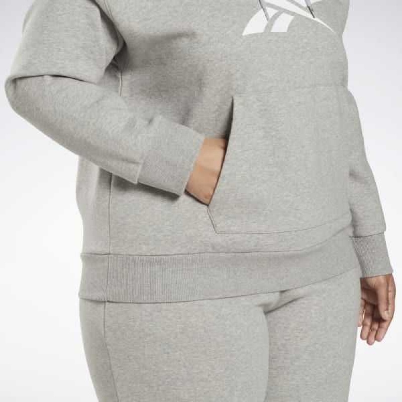 Reebok Identity Logo Fleece Pullover Hoodie Grau | 1605429-JO