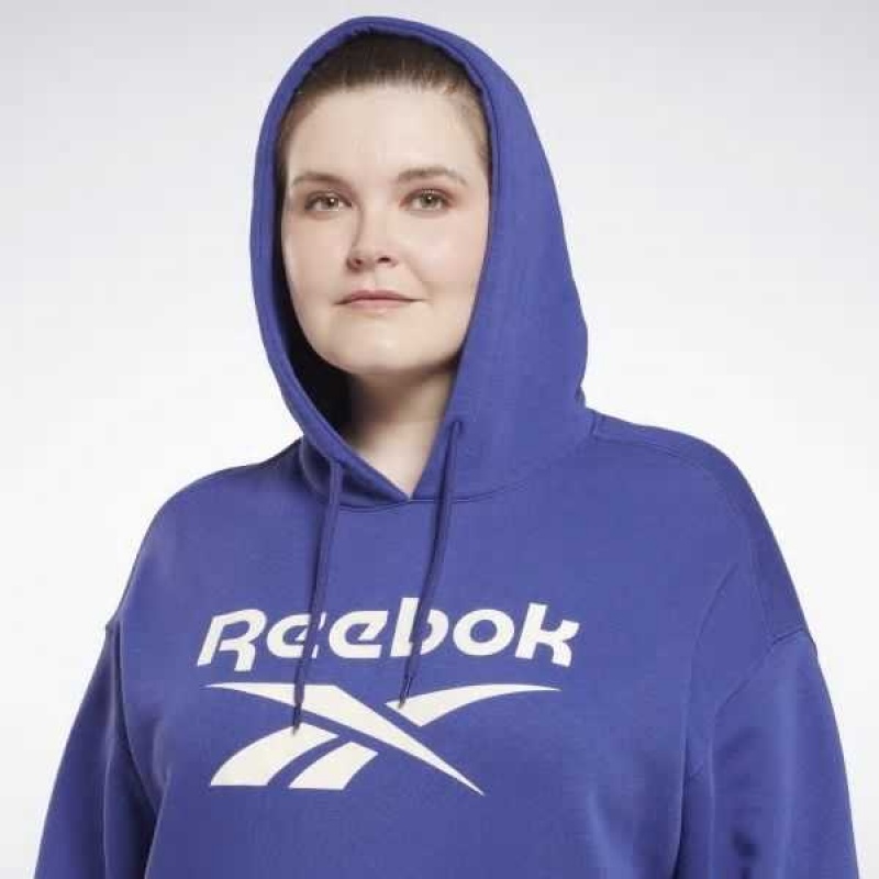 Reebok Identity Logo Fleece Pullover Hoodie Lila | 2590867-EO
