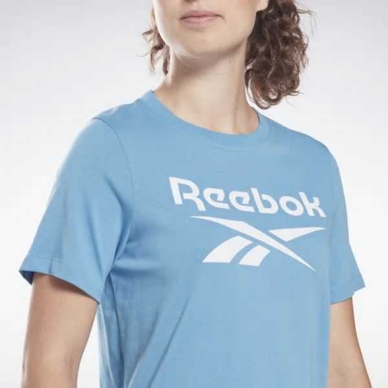 Reebok Identity T-Shirt Blau | 3407869-LA