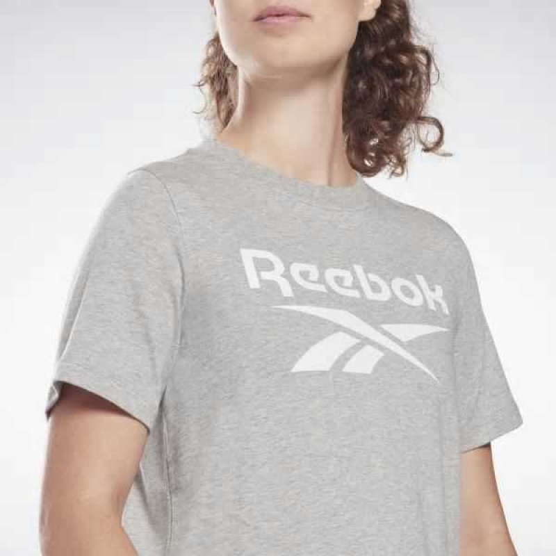 Reebok Identity T-Shirt Grau | 3105426-WV