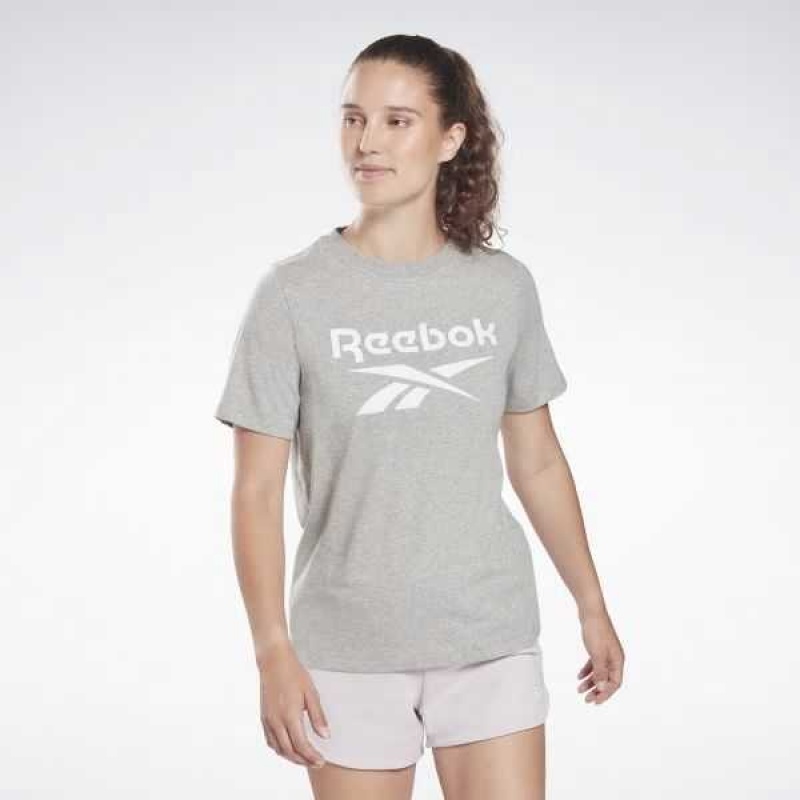 Reebok Identity T-Shirt Grau | 3105426-WV