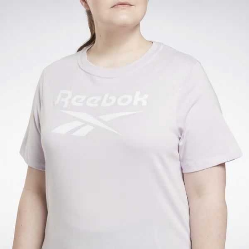 Reebok Identity T-Shirt Mehrfarbig | 3580497-WL
