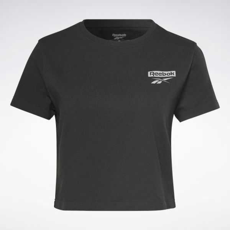 Reebok Sport Essentials Graphic T-Shirt Schwarz | 6345971-NL