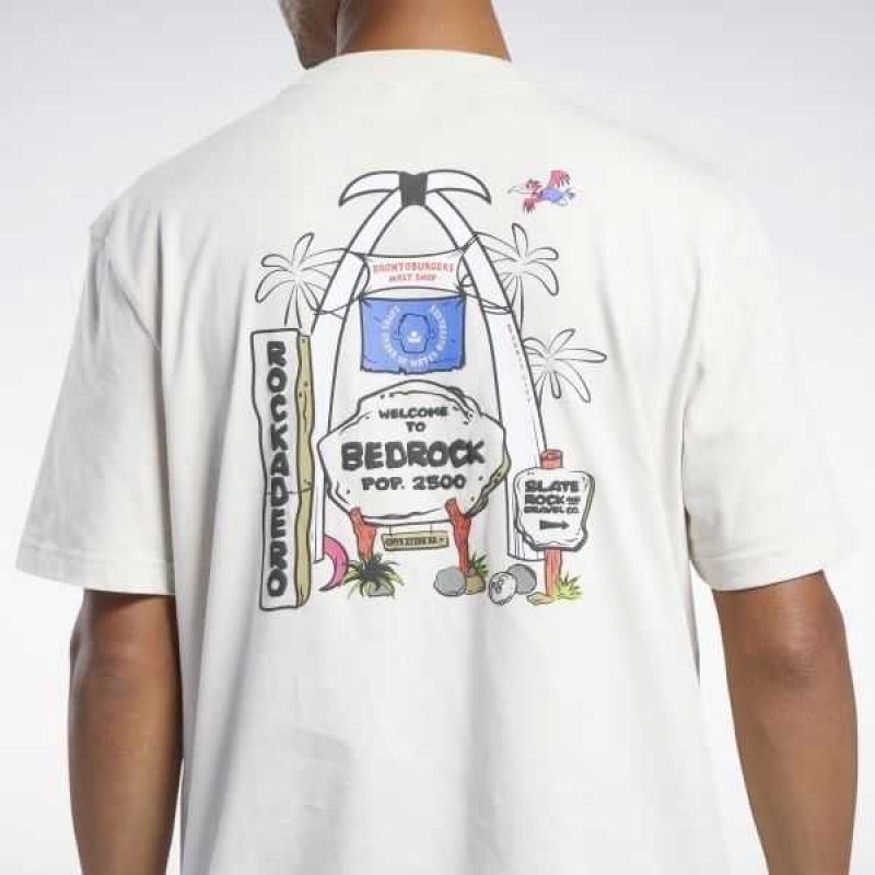 Reebok THE FLINTSTONES Bedrock Kurzes Sleeve Graphic T-Shirt Mehrfarbig | 4201587-WS