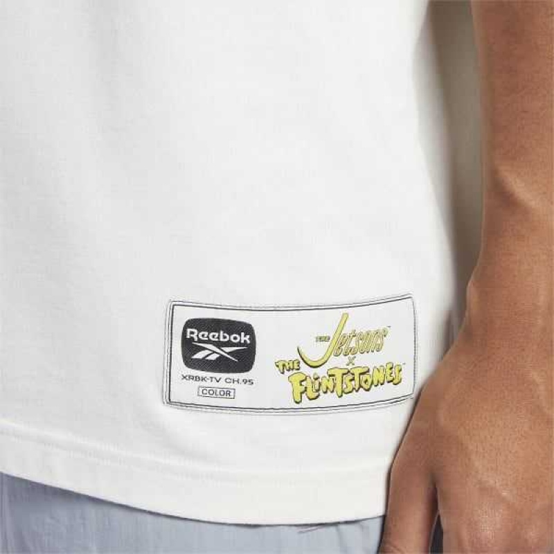 Reebok THE FLINTSTONES Bedrock Kurzes Sleeve Graphic T-Shirt Mehrfarbig | 4201587-WS
