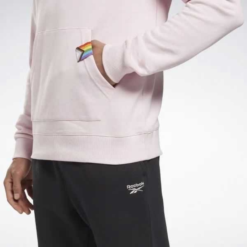 Reebok Tech Stylen Pride Graphic Sweatshirt Mehrfarbig | 8217956-FV