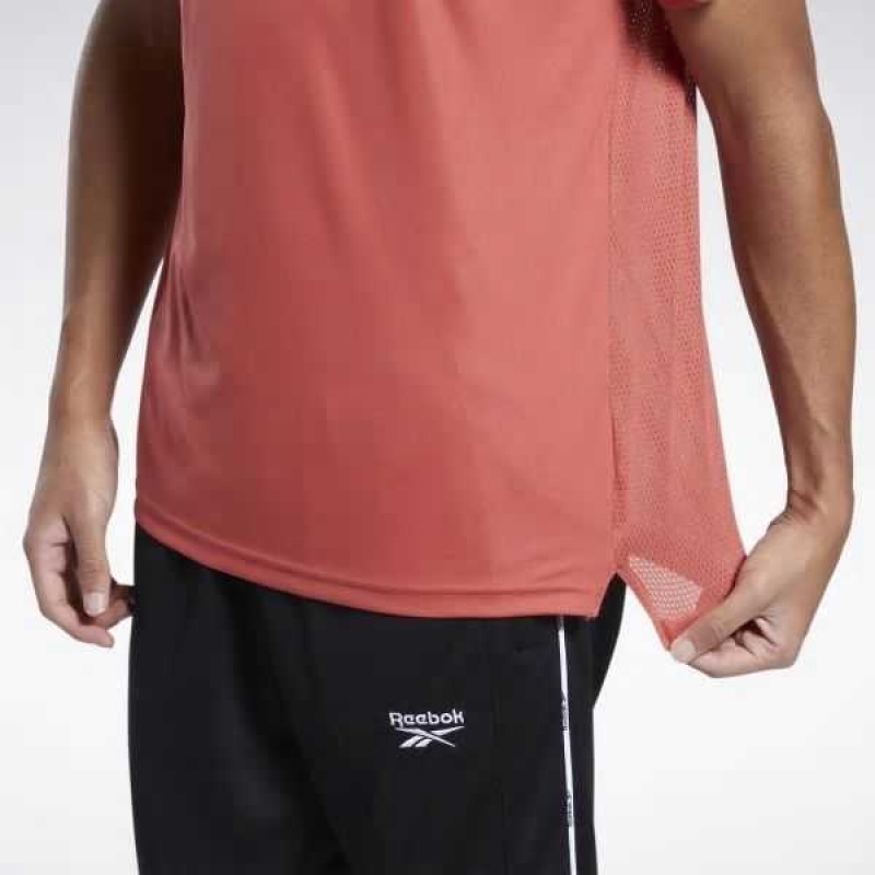 Reebok Workout Ready Tech T-Shirt Mehrfarbig | 0482136-PJ